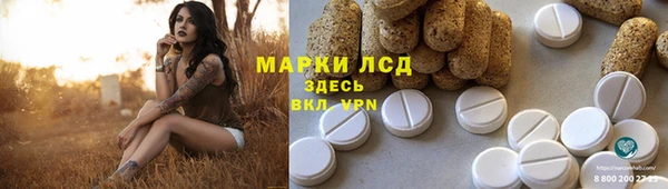 амф Каменка