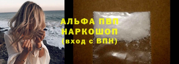 амф Каменка