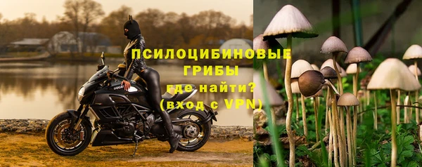бошки Каменногорск