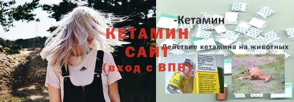 каннабис Инта